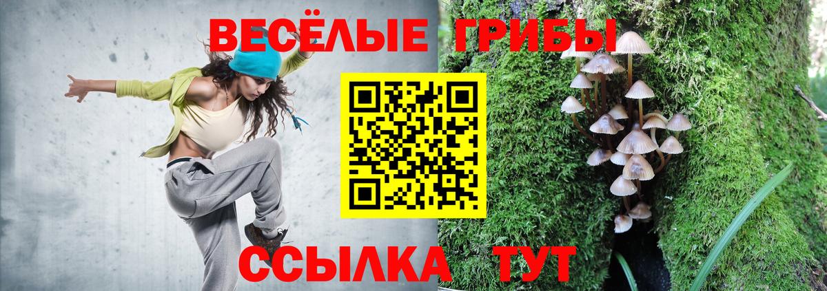 Псилоцибиновые грибы Cubensis Ханты-Мансийск