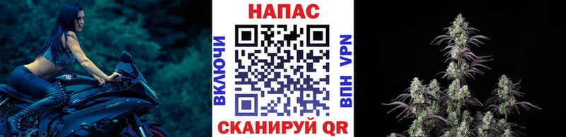 Бошки Шишки план  купить закладку  Ханты-Мансийск 